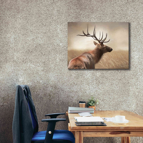 Image of 'Elk in the Grass' by Lori Deiter, Canvas Wall Art,34 x 26
