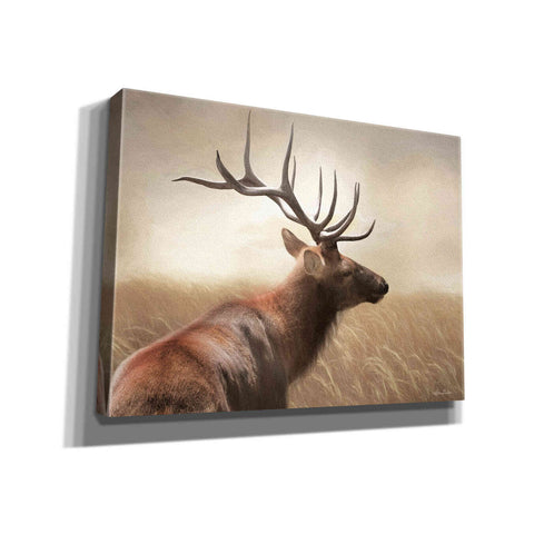 Image of 'Elk in the Grass' by Lori Deiter, Canvas Wall Art