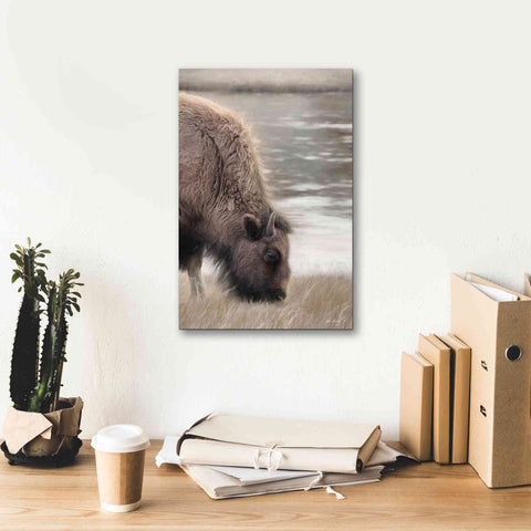 Image of 'Yellowstone Buffalo' by Lori Deiter, Canvas Wall Art,12 x 18