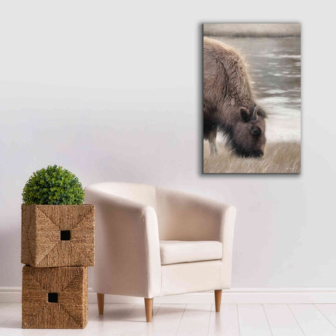 Image of 'Yellowstone Buffalo' by Lori Deiter, Canvas Wall Art,26 x 40