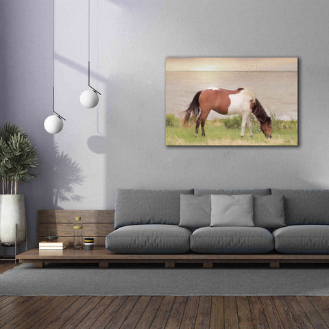 Image of 'Grazing on Assateague Island' by Lori Deiter, Canvas Wall Art,60 x 40