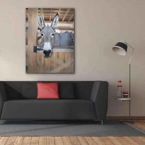Image of 'Curious Donkey' by Lori Deiter, Canvas Wall Art,40 x 54