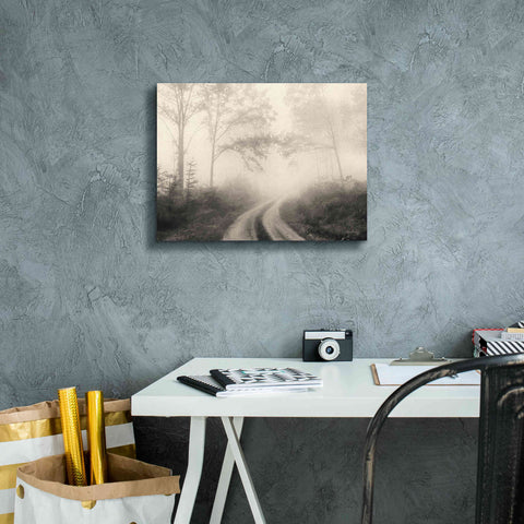 Image of 'Bleached Woodlands' by Lori Deiter, Canvas Wall Art,16 x 12