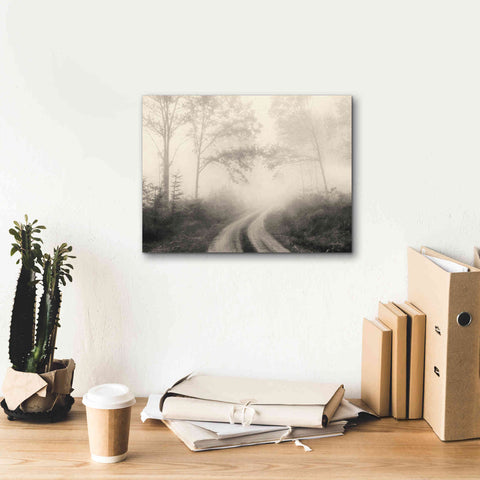 Image of 'Bleached Woodlands' by Lori Deiter, Canvas Wall Art,16 x 12