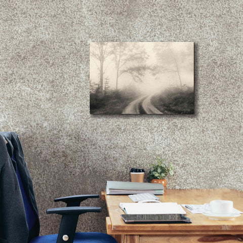 Image of 'Bleached Woodlands' by Lori Deiter, Canvas Wall Art,26 x 18
