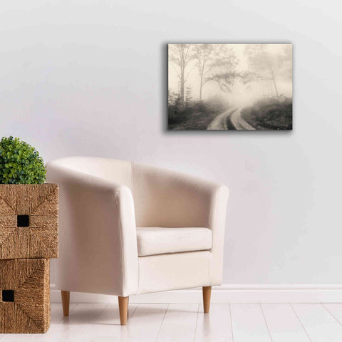 Image of 'Bleached Woodlands' by Lori Deiter, Canvas Wall Art,26 x 18