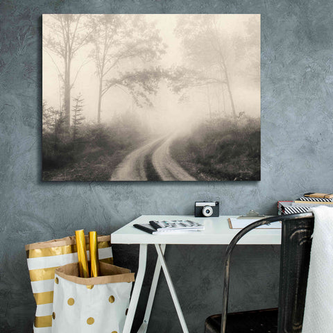 Image of 'Bleached Woodlands' by Lori Deiter, Canvas Wall Art,34 x 26