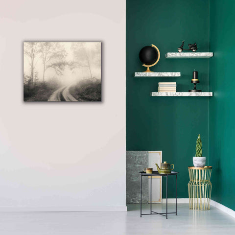 Image of 'Bleached Woodlands' by Lori Deiter, Canvas Wall Art,34 x 26