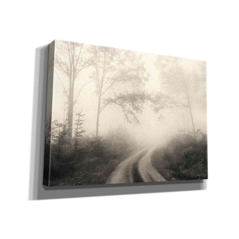 Image of 'Bleached Woodlands' by Lori Deiter, Canvas Wall Art