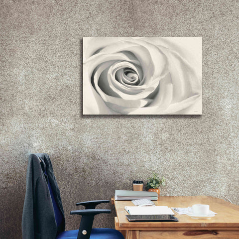 Image of 'Rose II' by Lori Deiter, Canvas Wall Art,40 x 26