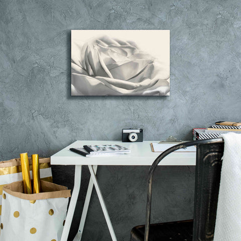 Image of 'Rose III' by Lori Deiter, Canvas Wall Art,18 x 12