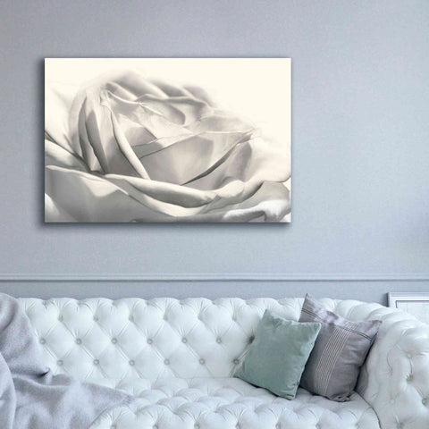 Image of 'Rose III' by Lori Deiter, Canvas Wall Art,60 x 40