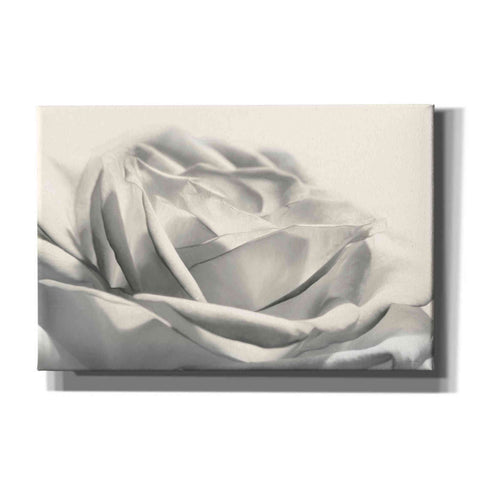 Image of 'Rose III' by Lori Deiter, Canvas Wall Art