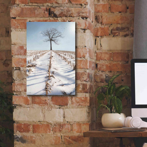 Image of 'Winter Boughs' by Lori Deiter, Canvas Wall Art,12 x 18