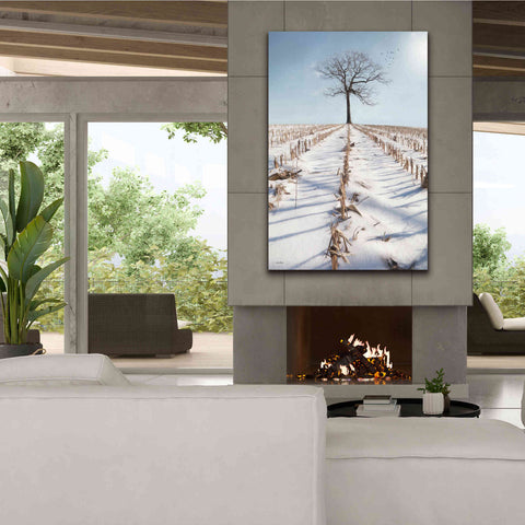 Image of 'Winter Boughs' by Lori Deiter, Canvas Wall Art,40 x 60