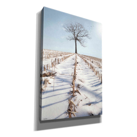 Image of 'Winter Boughs' by Lori Deiter, Canvas Wall Art