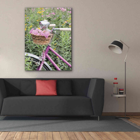 Image of 'Pink Garden Bike' by Lori Deiter, Canvas Wall Art,40 x 54