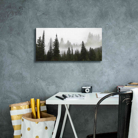Image of 'Schwabachers Landing Trees' by Lori Deiter, Canvas Wall Art,24 x 12