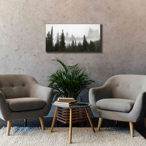 Image of 'Schwabachers Landing Trees' by Lori Deiter, Canvas Wall Art,40 x 20
