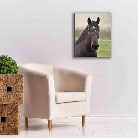 Image of 'Horse with Round Glasses' by Lori Deiter, Canvas Wall Art,20 x 24