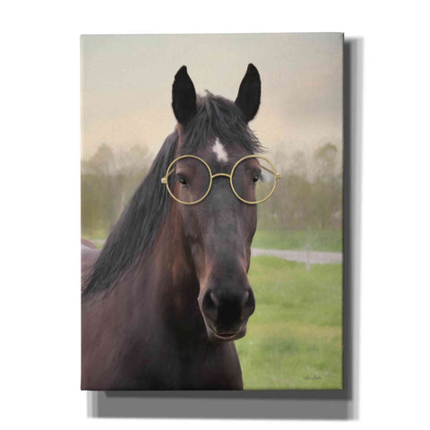 Image of 'Horse with Round Glasses' by Lori Deiter, Canvas Wall Art