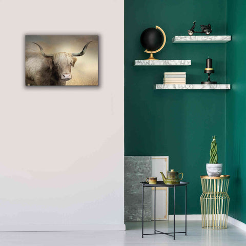Image of 'Highland Cow in Golden Grass' by Lori Deiter, Canvas Wall Art,26 x 18