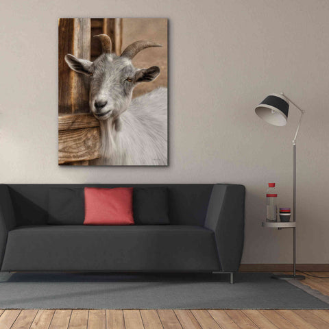 Image of 'Gray Goat' by Lori Deiter, Canvas Wall Art,40 x 54