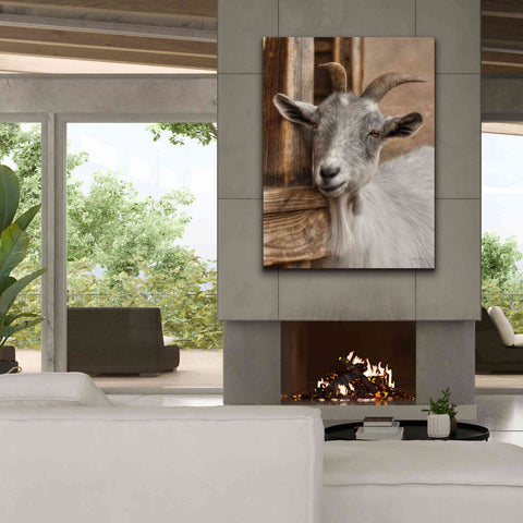 Image of 'Gray Goat' by Lori Deiter, Canvas Wall Art,40 x 54