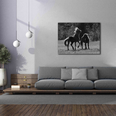Image of 'Black & White Assateague Horses' by Lori Deiter, Canvas Wall Art,54 x 40