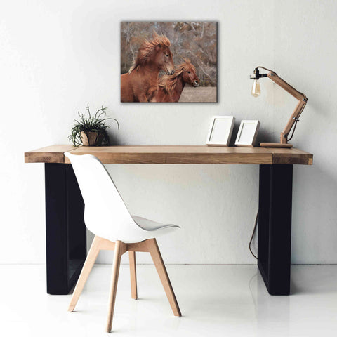 Image of 'Assateague Horses II' by Lori Deiter, Canvas Wall Art,24 x 20