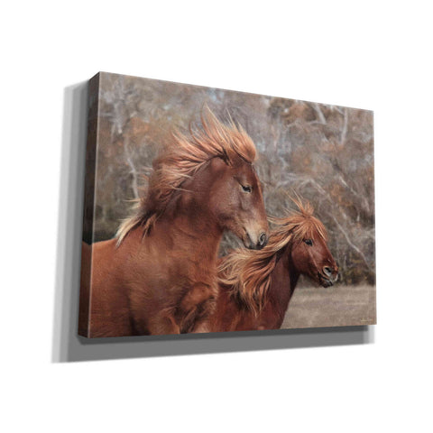 Image of 'Assateague Horses II' by Lori Deiter, Canvas Wall Art