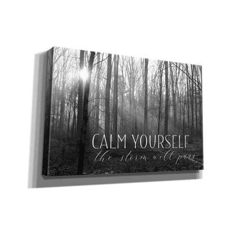 Image of 'Calm Yourself' by Lori Deiter, Canvas Wall Art