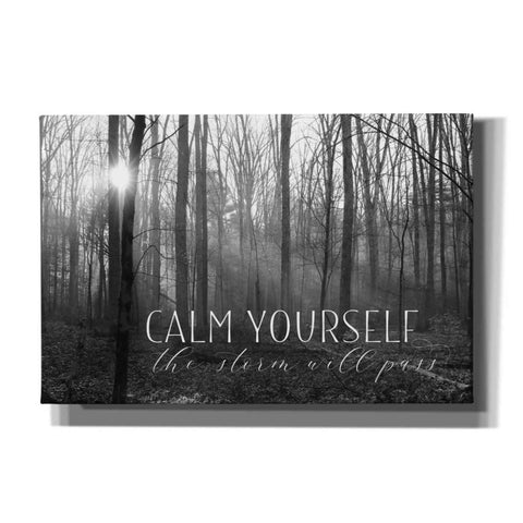 Image of 'Calm Yourself' by Lori Deiter, Canvas Wall Art