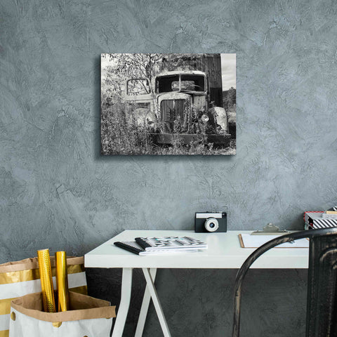 Image of 'Don't Leave Me Hanging' by Lori Deiter, Canvas Wall Art,16 x 12