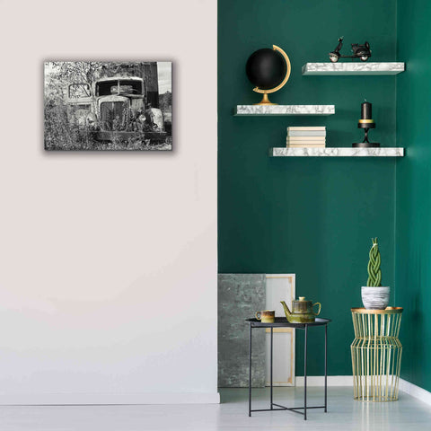 Image of 'Don't Leave Me Hanging' by Lori Deiter, Canvas Wall Art,26 x 18