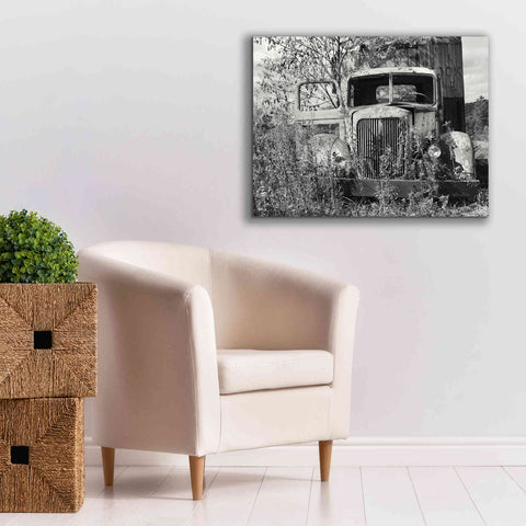 Image of 'Don't Leave Me Hanging' by Lori Deiter, Canvas Wall Art,34 x 26