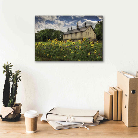 Image of 'Sunflower Garden' by Lori Deiter, Canvas Wall Art,18 x 12