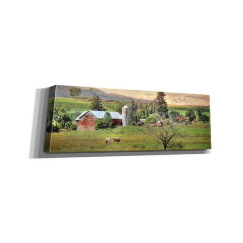 Image of 'Grazing Sheet' by Lori Deiter, Canvas Wall Art