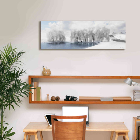 Image of 'Winter Willow' by Lori Deiter, Canvas Wall Art,36 x 12