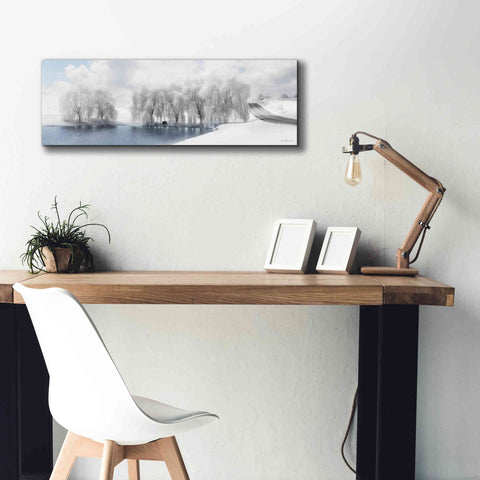 Image of 'Winter Willow' by Lori Deiter, Canvas Wall Art,36 x 12