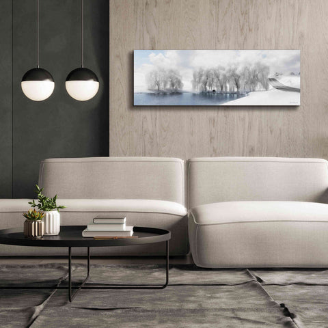 Image of 'Winter Willow' by Lori Deiter, Canvas Wall Art,60 x 20