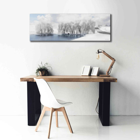 Image of 'Winter Willow' by Lori Deiter, Canvas Wall Art,60 x 20