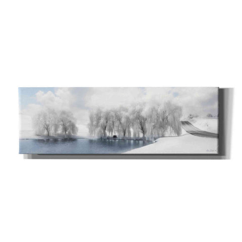 Image of 'Winter Willow' by Lori Deiter, Canvas Wall Art