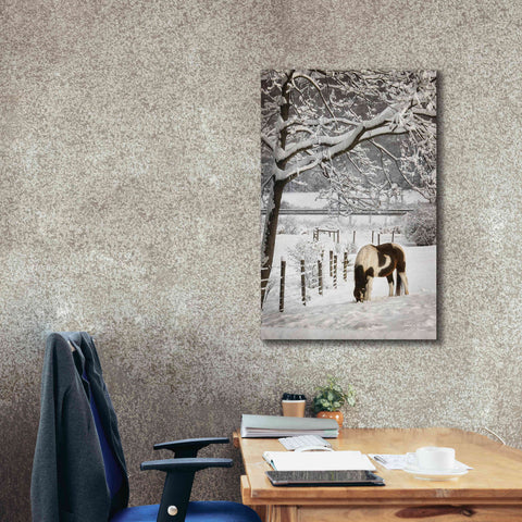 Image of 'Paint in the Snow' by Lori Deiter, Canvas Wall Art,26 x 40