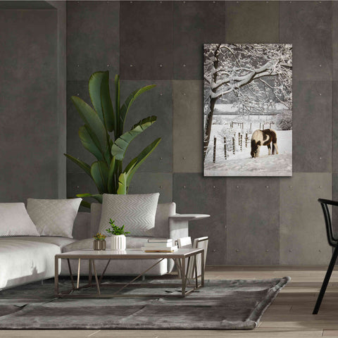 Image of 'Paint in the Snow' by Lori Deiter, Canvas Wall Art,40 x 60