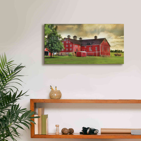 Image of 'Aging Gracefully' by Lori Deiter, Canvas Wall Art,24 x 12