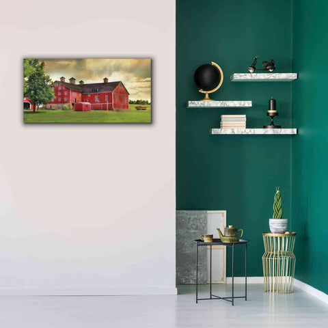 Image of 'Aging Gracefully' by Lori Deiter, Canvas Wall Art,40 x 20