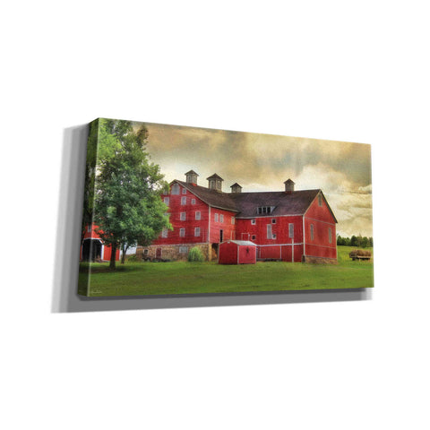 Image of 'Aging Gracefully' by Lori Deiter, Canvas Wall Art