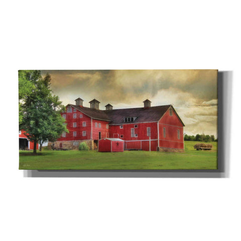 Image of 'Aging Gracefully' by Lori Deiter, Canvas Wall Art