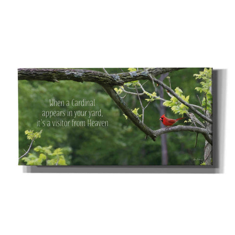 Image of 'Visitor from Heaven' by Lori Deiter, Canvas Wall Art